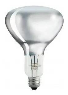 Lâmpada De Secagem Infravermelha 375w 220v Philips - Image 5